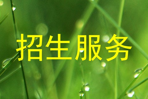 招生服务