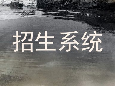 招生系统