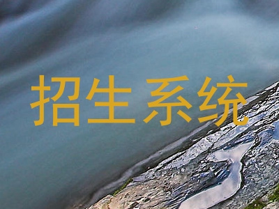 招生系统