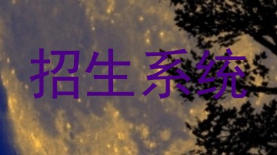招生系统