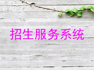 招生服务系统
