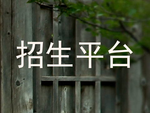 招生平台