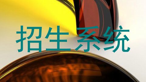 招生系统