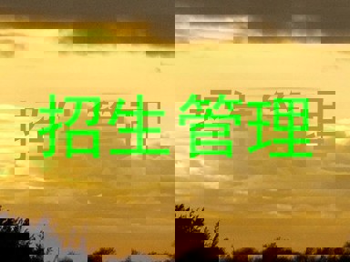 招生管理