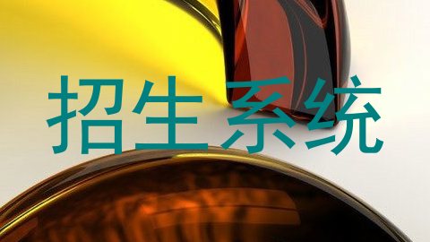 招生系统