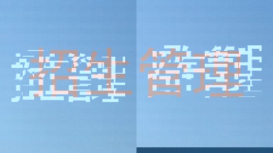 招生管理