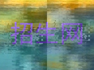 招生网