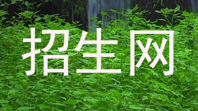 招生网