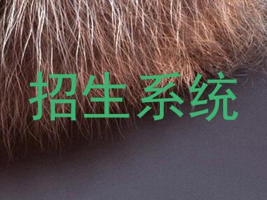 招生系统