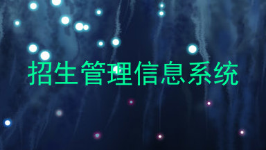招生管理信息系统