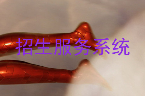 招生服务系统