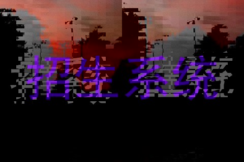 招生系统