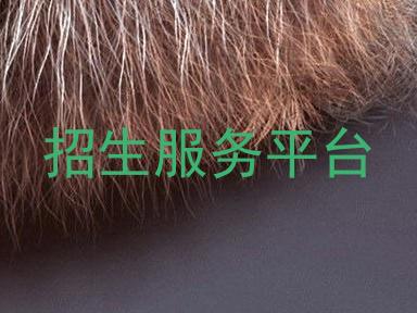 招生服务平台