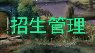 招生管理