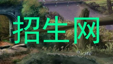 招生网