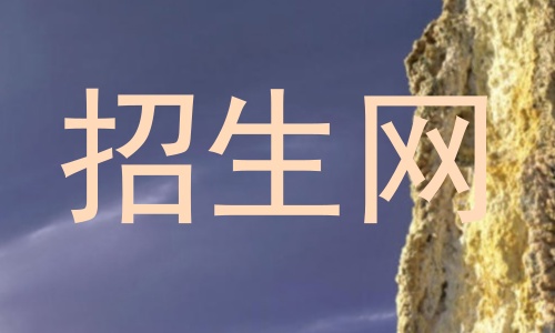 招生网
