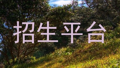 招生平台