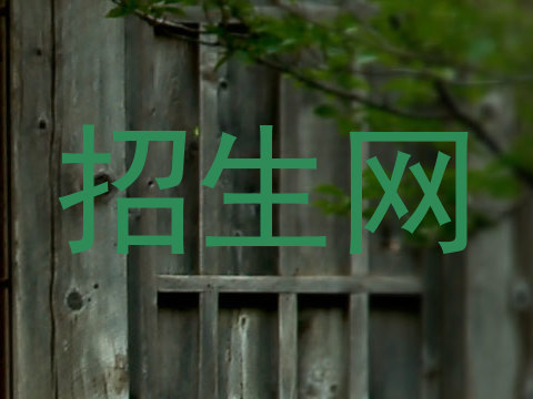 招生网