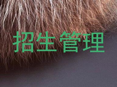 招生管理