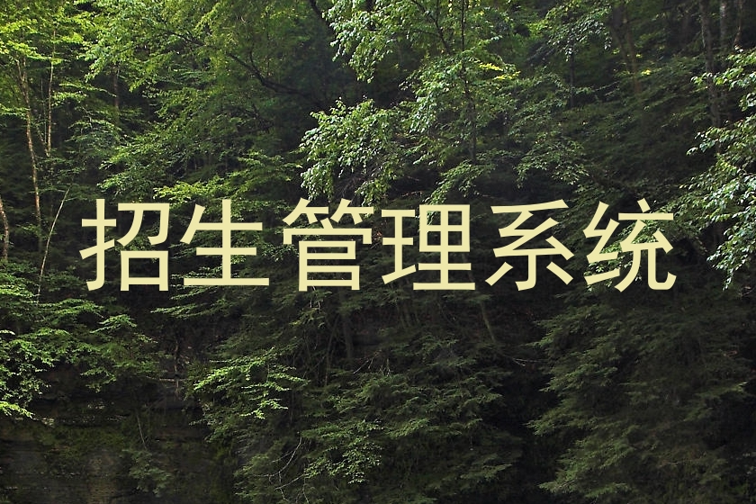 招生系统