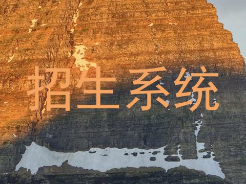 招生系统