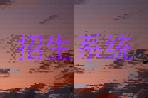 招生系统