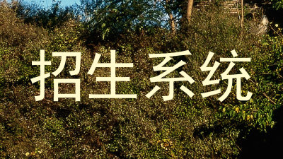 招生系统