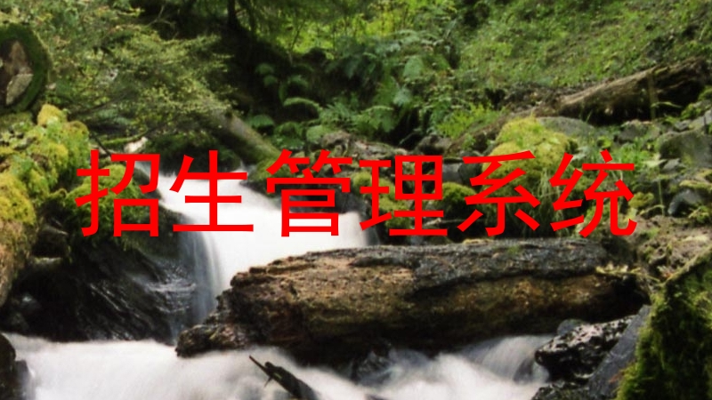 招生管理系统