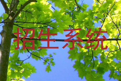 招生系统
