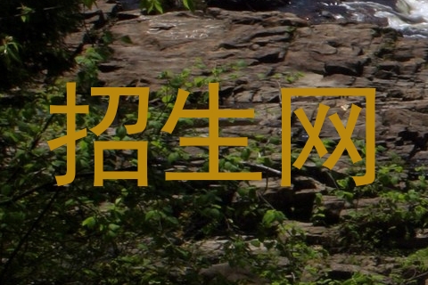 招生网