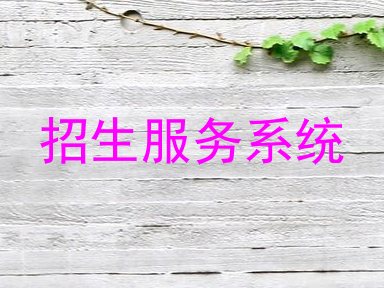 招生服务系统