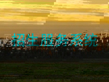 招生服务系统