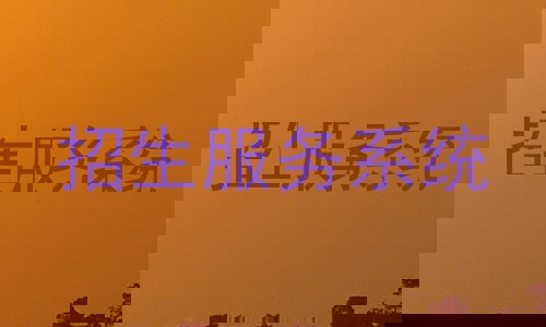 招生服务系统