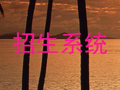 招生系统