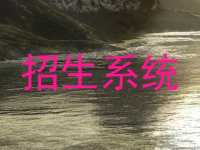 招生系统