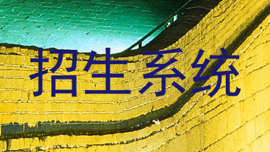 招生系统