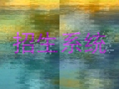 招生系统
