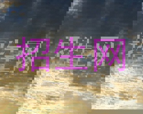 招生网