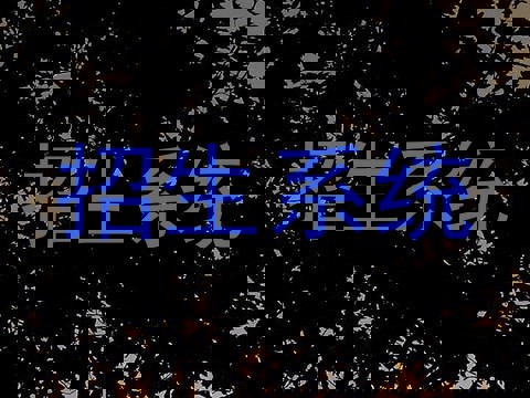 招生系统