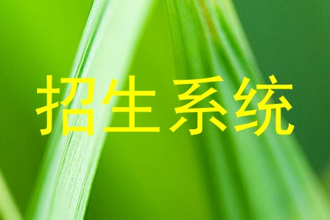 招生系统