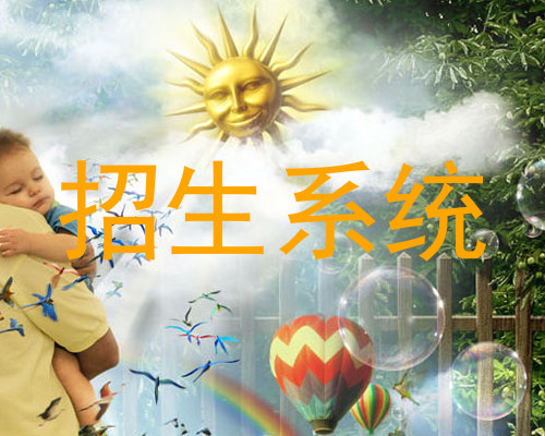 招生系统