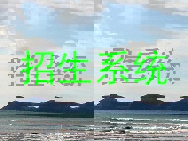 招生系统