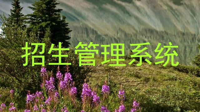 招生管理系统