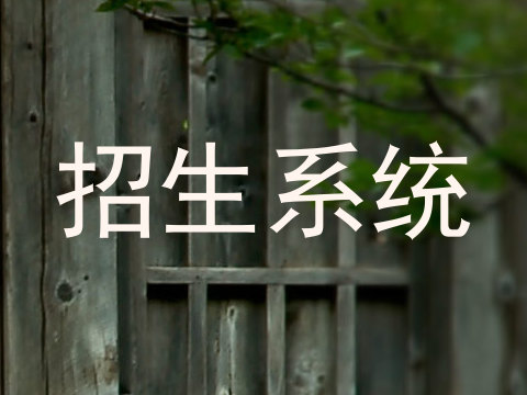 招生系统