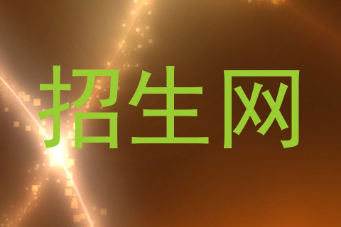 招生网