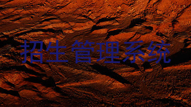 招生管理系统