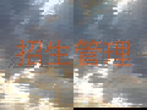 招生管理