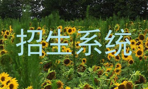 招生系统
