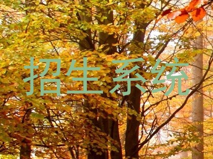 招生系统