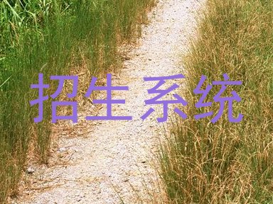 招生系统